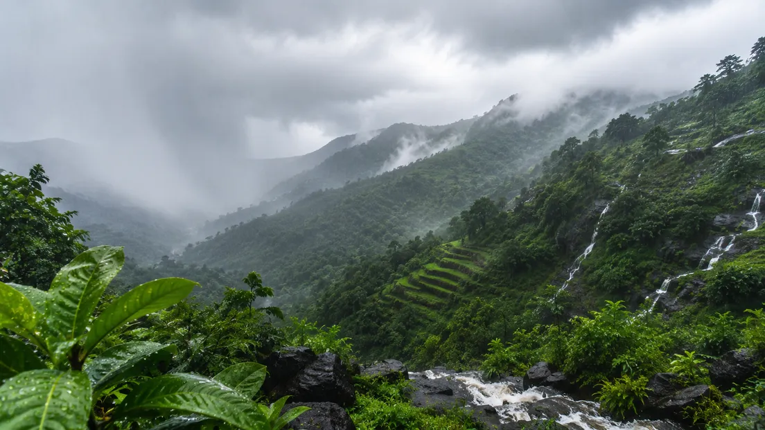 monsoon season india