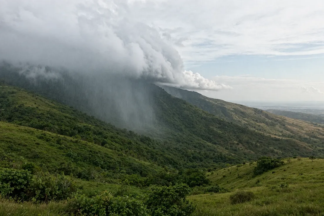 Types Of Rainfall Convectional Relief Frontal MeteoFlow Types Of Rainfall Convectional Relief Frontal MeteoFlow