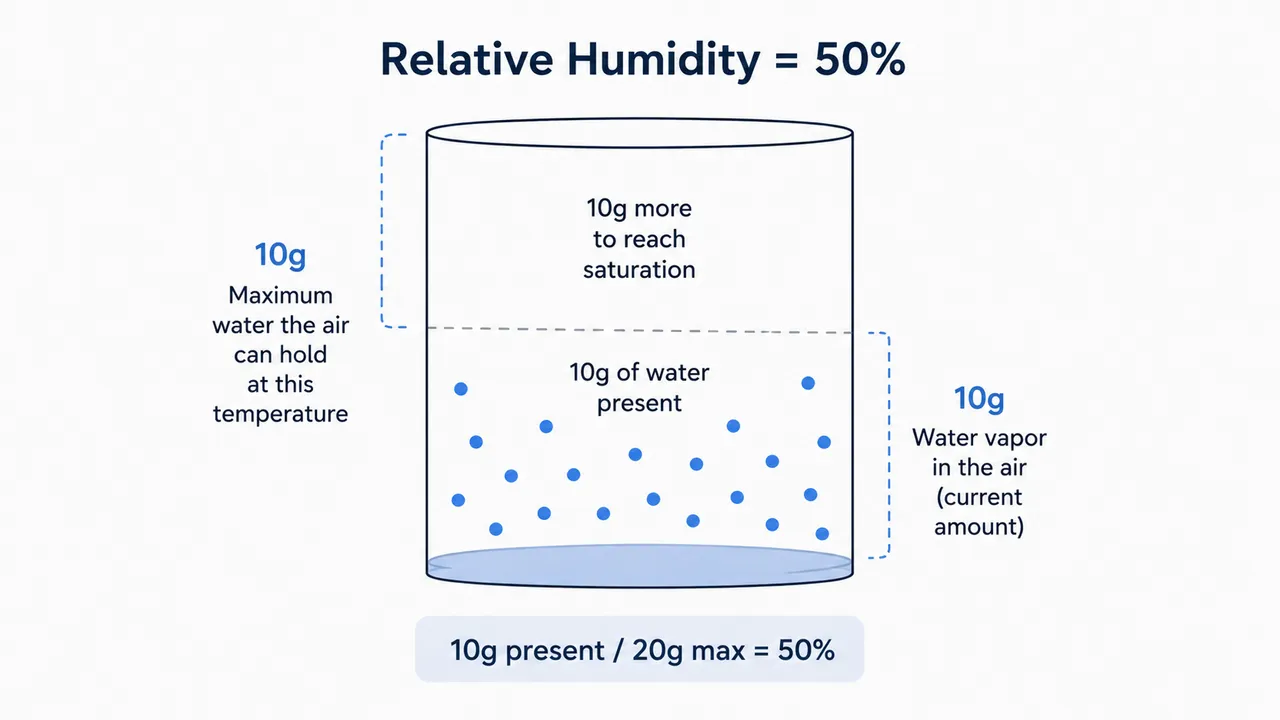 What Is the Difference Between Humidity and Relative Humidity?
