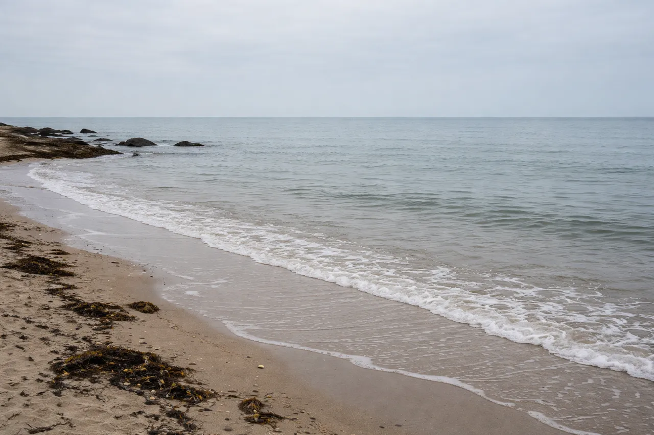 High Tide vs Low Tide: What Is the Difference?