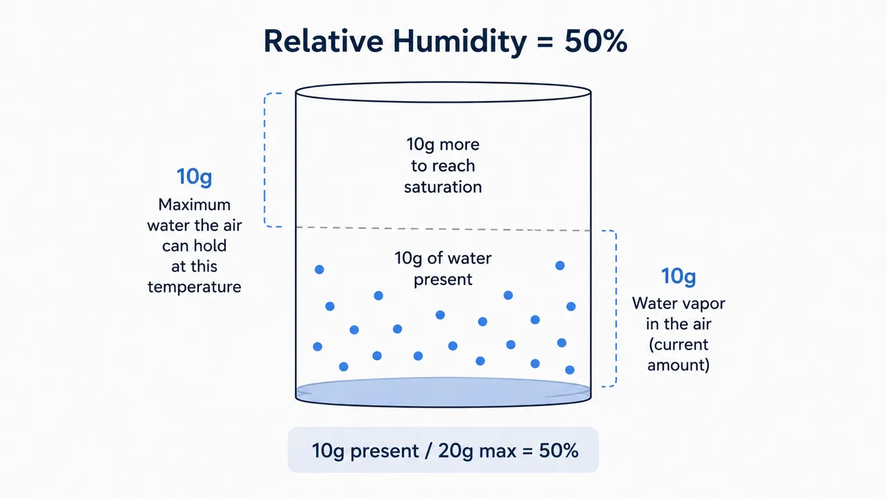 What Is the Difference Between Humidity and Relative Humidity?