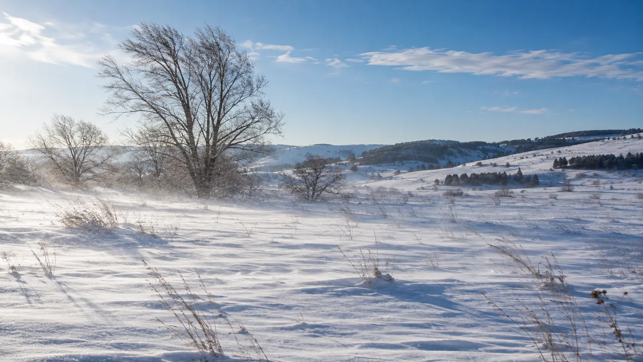 How Is Wind Chill Calculated in Weather Forecasts?