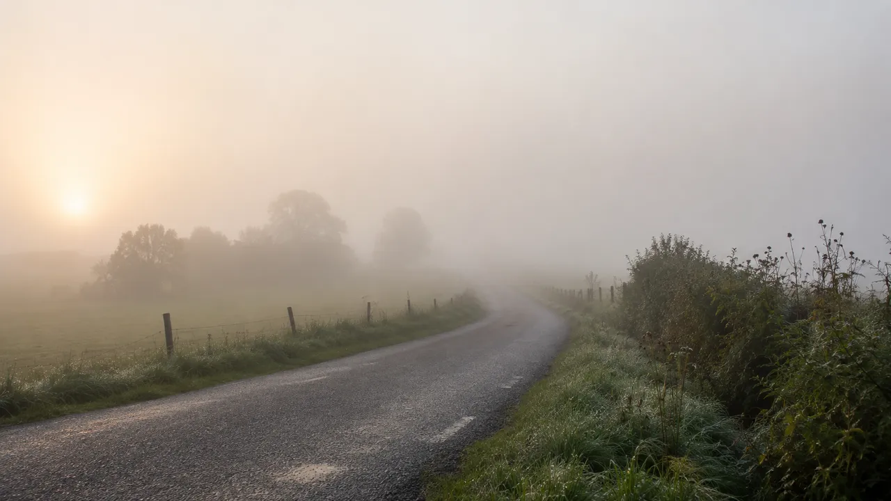 What Is the Difference Between Fog and Mist in Weather Terms?