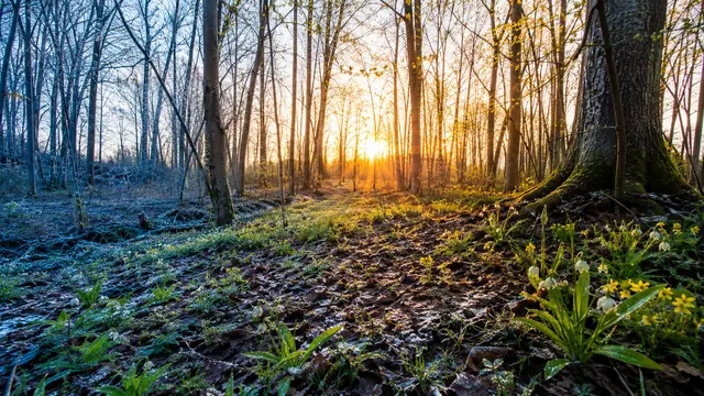 When Is the Spring Equinox?