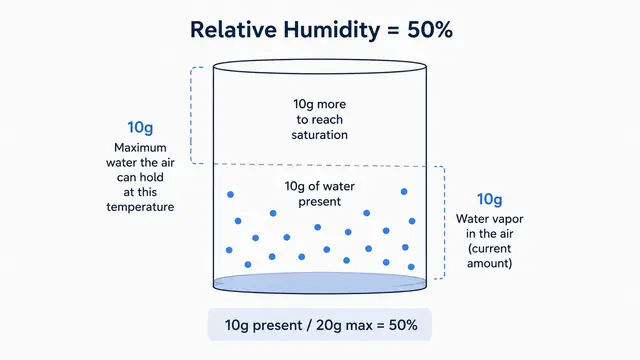 What Is the Difference Between Humidity and Relative Humidity?