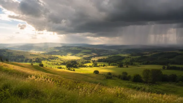 How Accurate Are Rain Predictions on Weather Forecast Sites?