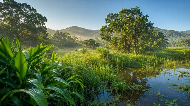 Why Does Humidity Make Hot Weather Feel Hotter?